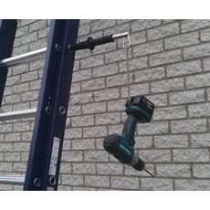 WIENESE ladderlimb, 3 image