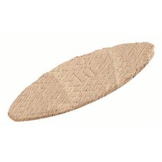 DIVERSE ACCESSOIRES MP  (PLAAT LAMELLENDEUVELS (50))