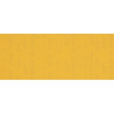 EXPERT Schuurvel C470 Best for Wood and Paint, 93 x 230 mm,