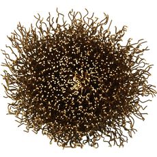 Tyrolit Premium*** Penseelborstel voor rechte slijpers 52PDW, 2 image