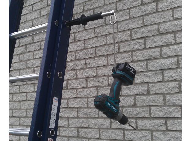 WIENESE ladderlimb, 3 image