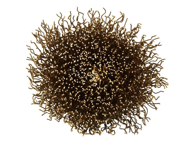 Tyrolit Premium*** Penseelborstel voor rechte slijpers 52PDW, 2 image