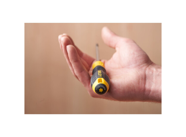 Cushiongrip Schroevendraaier Torx TT30 x 100mm, 4 image